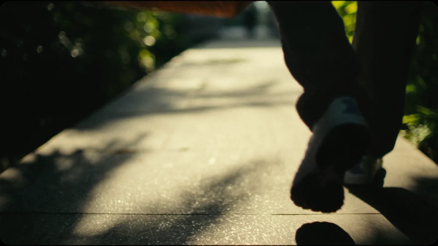 Footsteps along a sunlit path