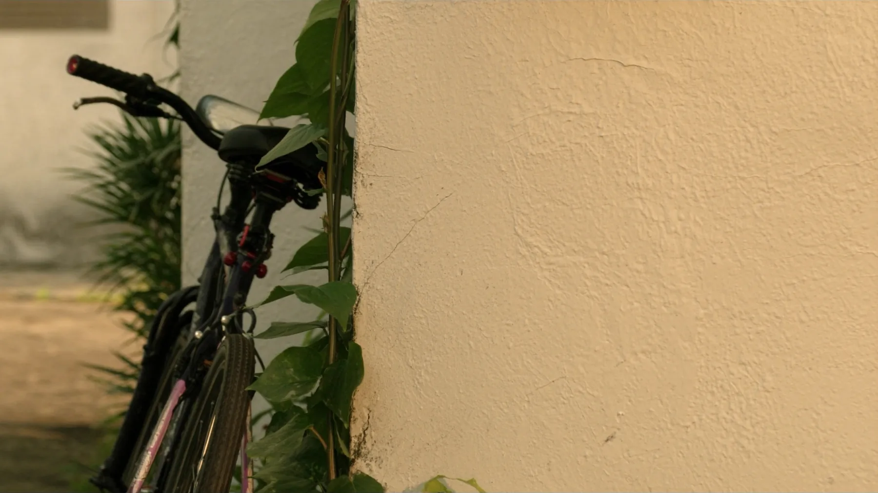 A bicycle left against a rendered wall, late afternoon